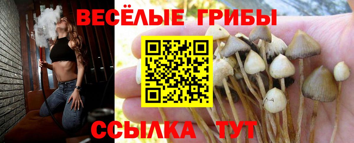 Выкса  Галлюциногенные грибы Magic Shrooms  Вход с VPN 